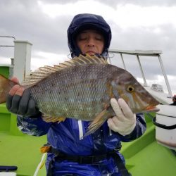 ゆたか丸 釣果