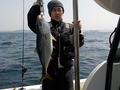 釣船 キティ 釣果