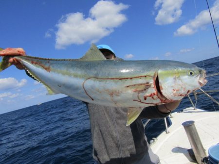 ジギング船 BLUEWATER 釣果