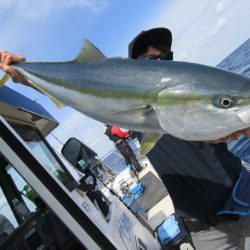 ジギング船 BLUEWATER 釣果