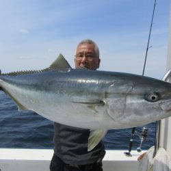 ジギング船 BLUEWATER 釣果