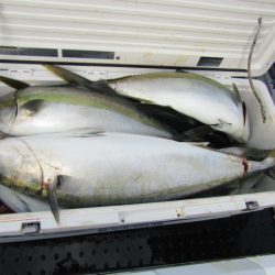 ジギング船 BLUEWATER 釣果