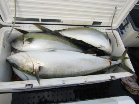 ジギング船 BLUEWATER 釣果