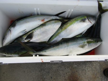 ジギング船 BLUEWATER 釣果