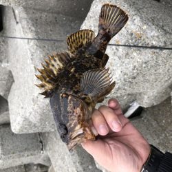 平成最後の釣りかな