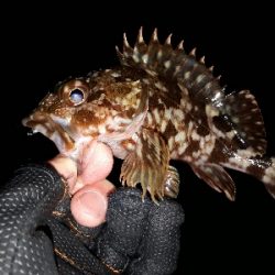 サイズが出ない…