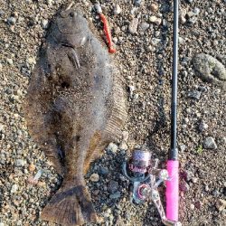 桜島サーフ釣行