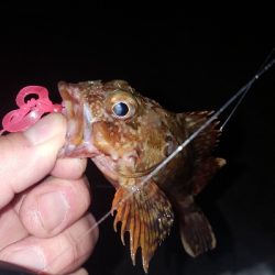 きびしくても優しい！