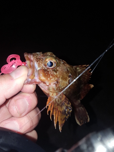 きびしくても優しい！