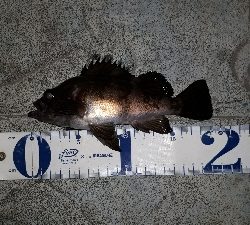 いつもの場所でいつものとおりに・・・