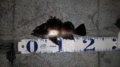 いつもの場所でいつものとおりに・・・