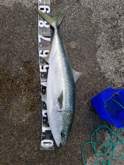 神戸港シーズンイン！？