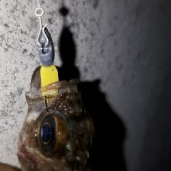 小物ばかり・・・