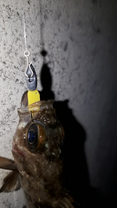 小物ばかり・・・