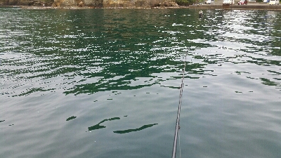 エギング甲イカ一杯！