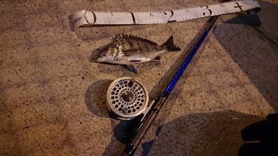 平成最後のヘチ釣り