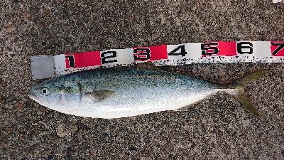 渋かったけどなんとか