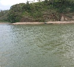 久しぶりの大物?