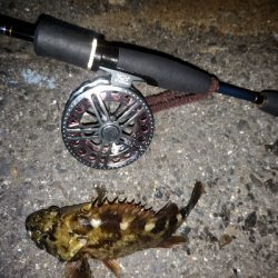 気候は良いのに