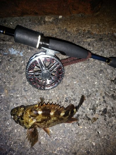 気候は良いのに