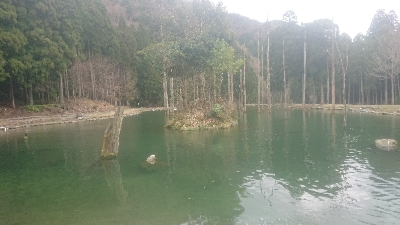 朽木渓流魚センタールアーフィールド