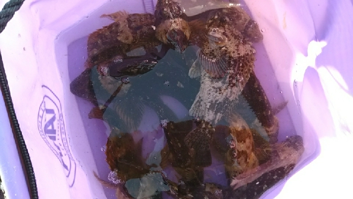 気温が低かっけど