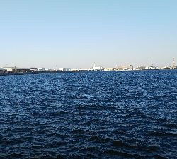 アジングのつもりが…