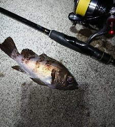 カラーチェンジ。