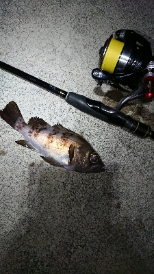 カラーチェンジ。