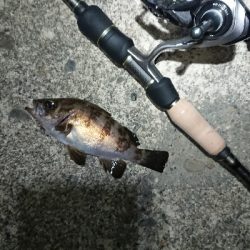 向かい風を選択