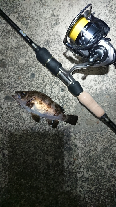 向かい風を選択