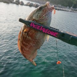 キス釣り開幕!?