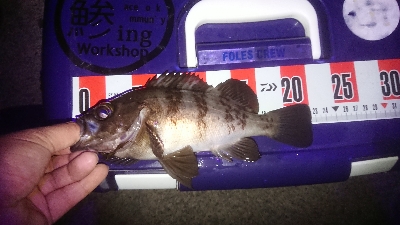 サイズ伸びない