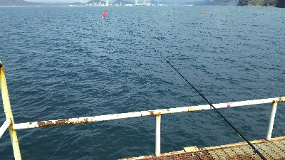 まさかのタコ！