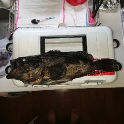 うれしいゲスト