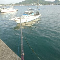 平成最後の釣り？