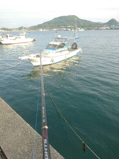 平成最後の釣り？