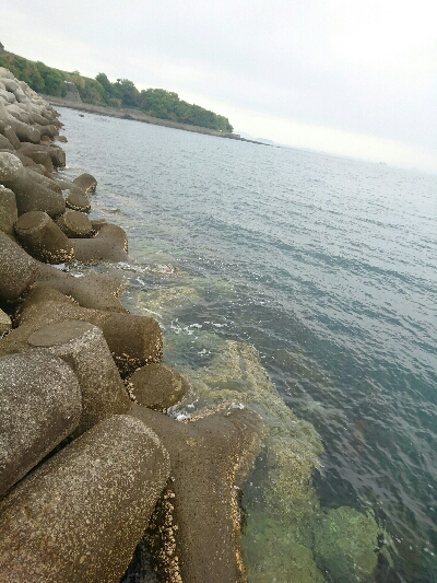 ほんとの平成最後の魚