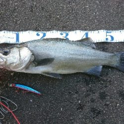 爆風のサラシランガン！