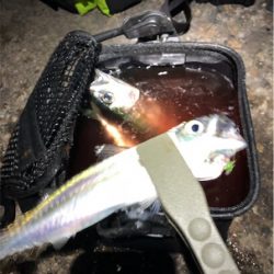 超爆風サバゲー ※追伸をご確認下さい!