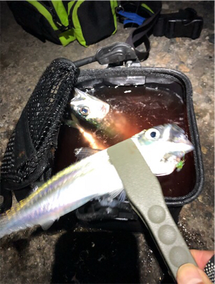 超爆風サバゲー ※追伸をご確認下さい!