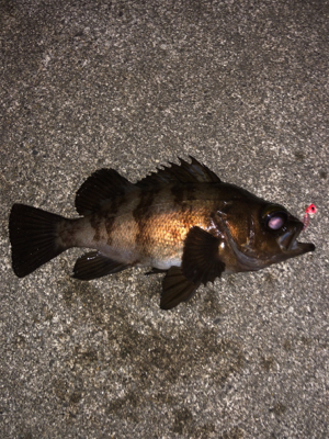 ランガンメバリング