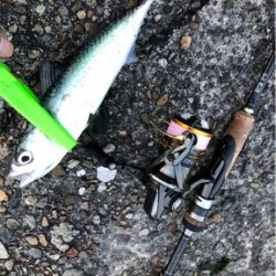 出勤前短時間サバゲー