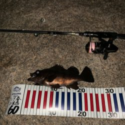 ん？ジャンプ⁇