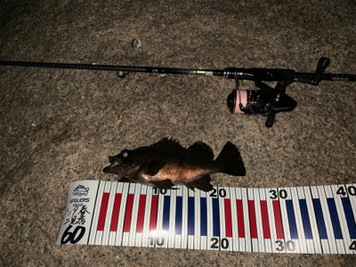 ん？ジャンプ⁇