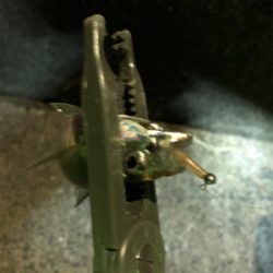 アジングいいですね