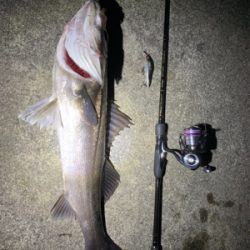 ランガンするべし