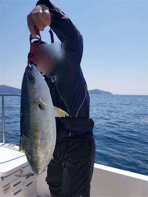 スロージギンク