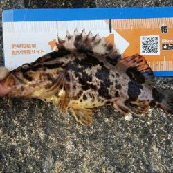 2019年4月4日釣行in箱崎ふ頭