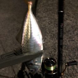 アジ釣り